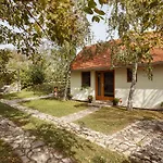 Guest house Vendeghaz