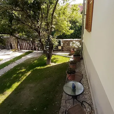 Guest house Panzio *