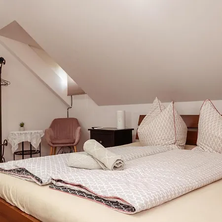 Panzio Guest house *