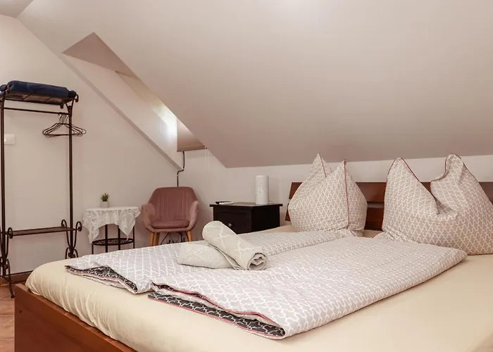 Vendeghaz Pensjonat 3*